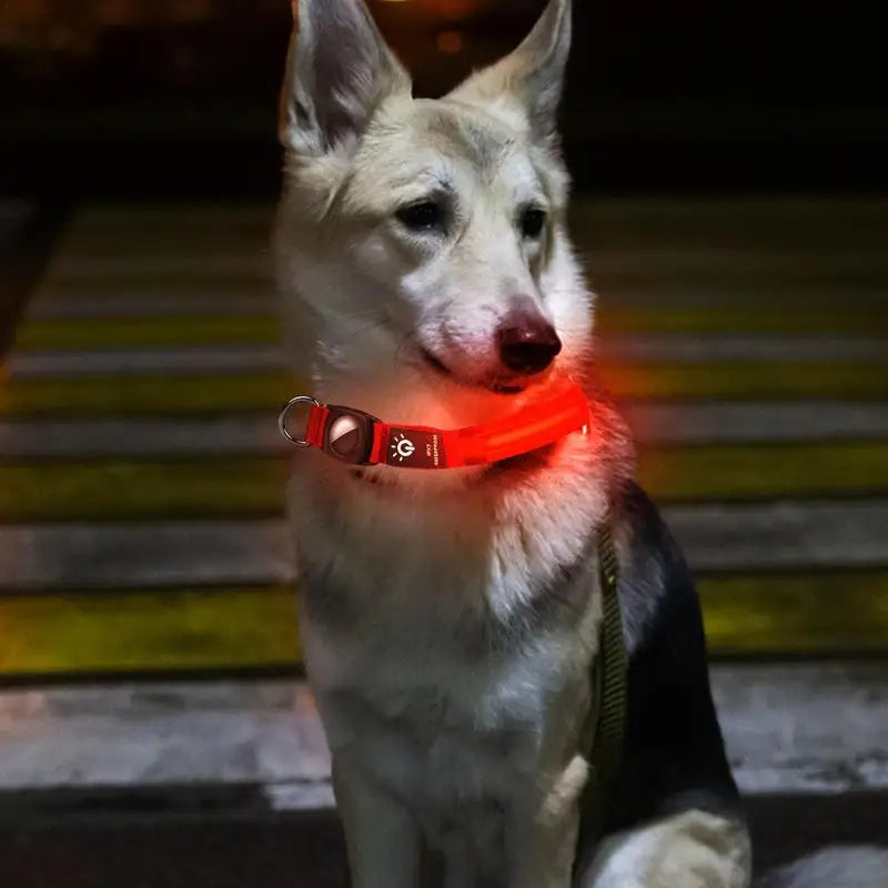 USB Rechargeable Pet Dog LED Glowing Collar - Next-Wave-Shopping