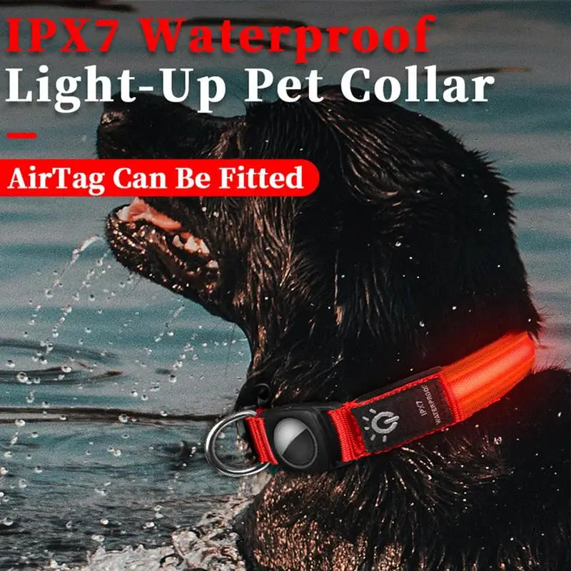 USB Rechargeable Pet Dog LED Glowing Collar - Next-Wave-Shopping